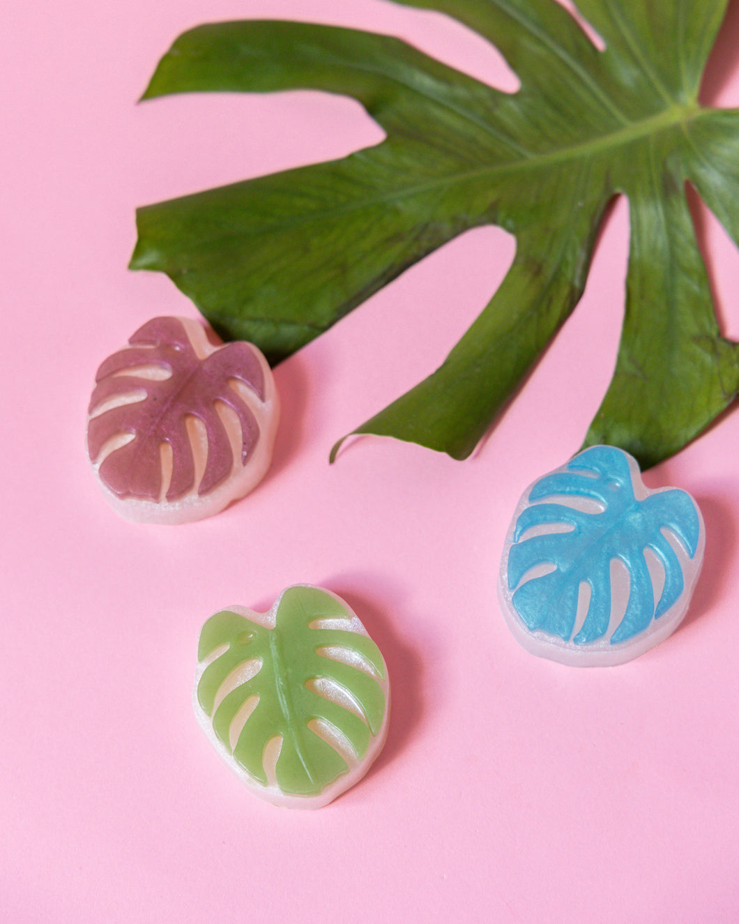 Monstera Soap